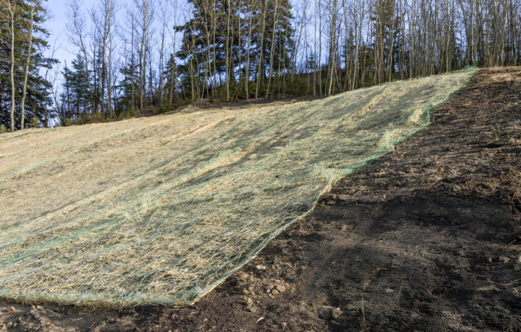 Soil Stabilization in Moultrie, GA